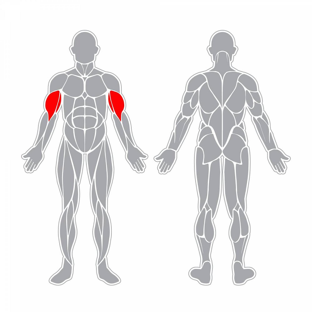 SNF03 Biceps lavička CZ